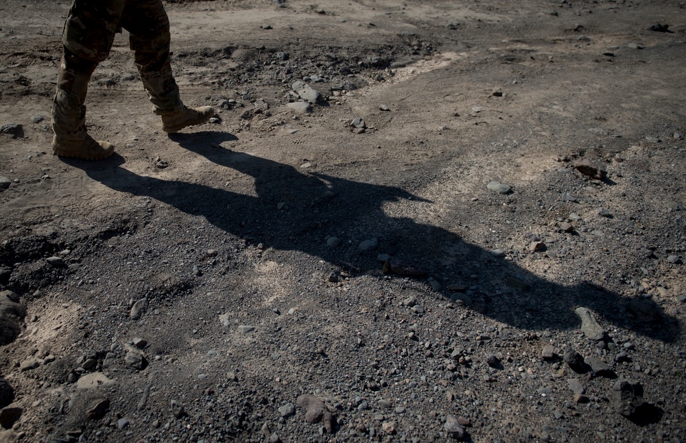 Expert Infantryman Badge Djibouti