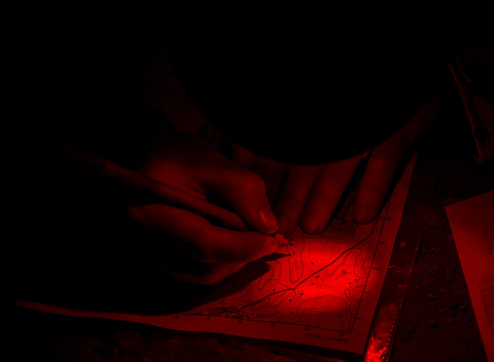 Expert Infantryman Badge Djibouti