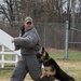 Working like a dog