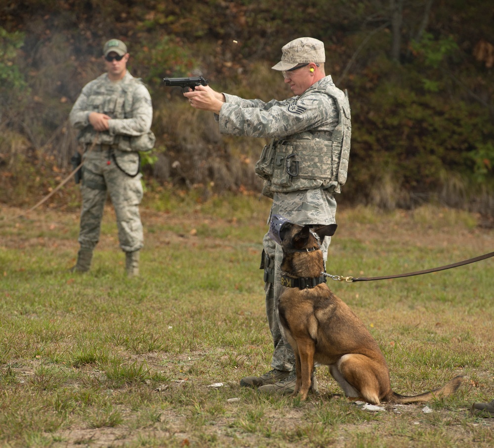 Training for a firefight