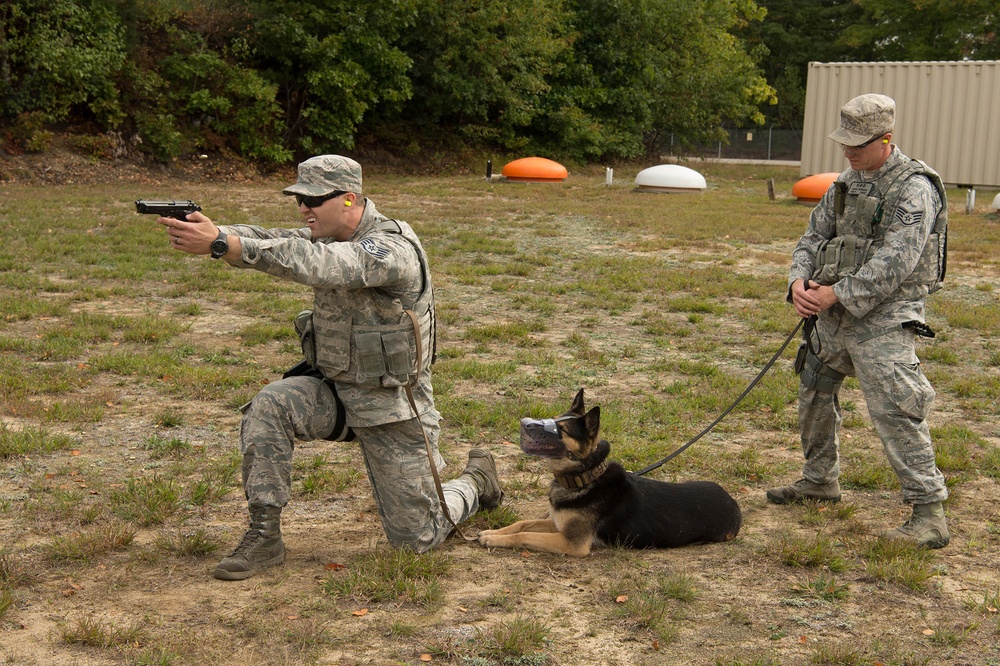 Training for a firefight