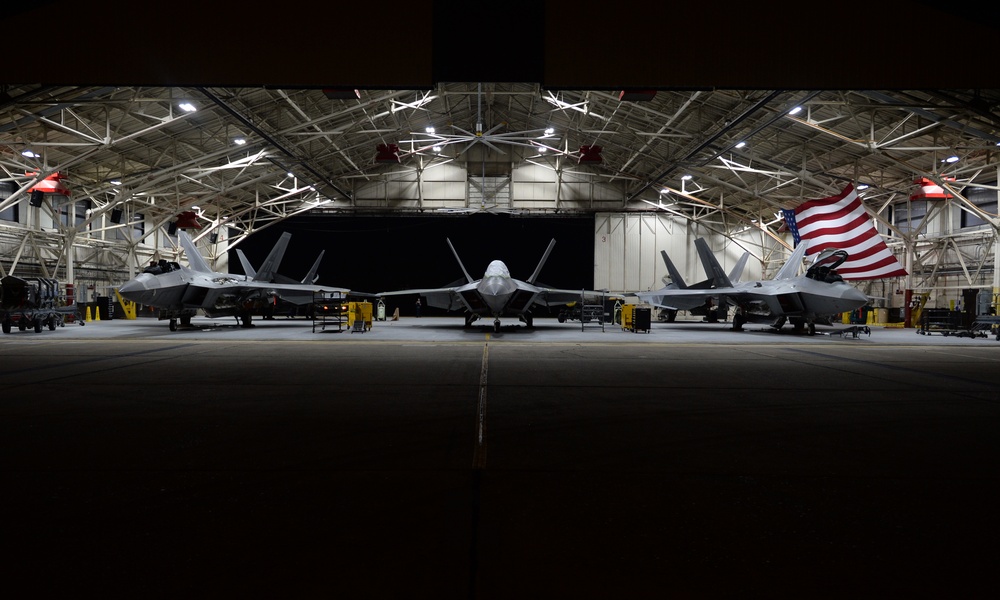 Raptors in the night