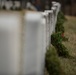 Wreaths Across America