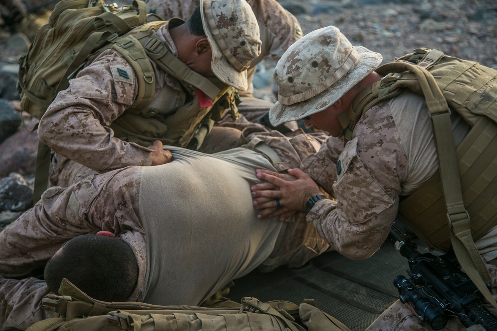 Exercise Alligator Dagger: CLB-11