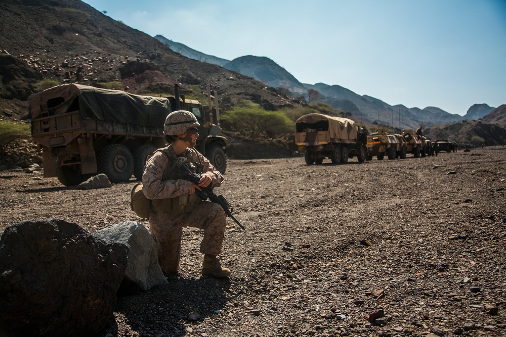 CLB-11 Conduct Convoy Ops during Exercise Alligator Dagger