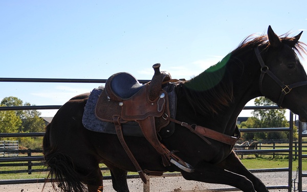 Combat to Cowboy boots