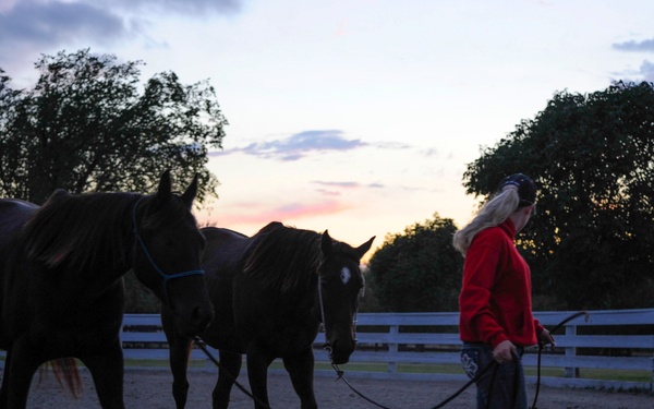 Combat to Cowboy boots