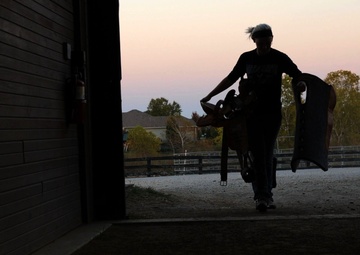 Combat to cowboy boots: Airman uses horses to spread resiliency