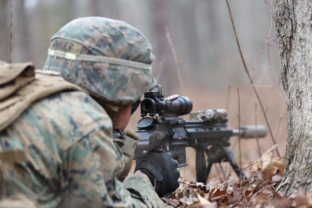 Savage company prowls