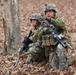 Savage company prowls