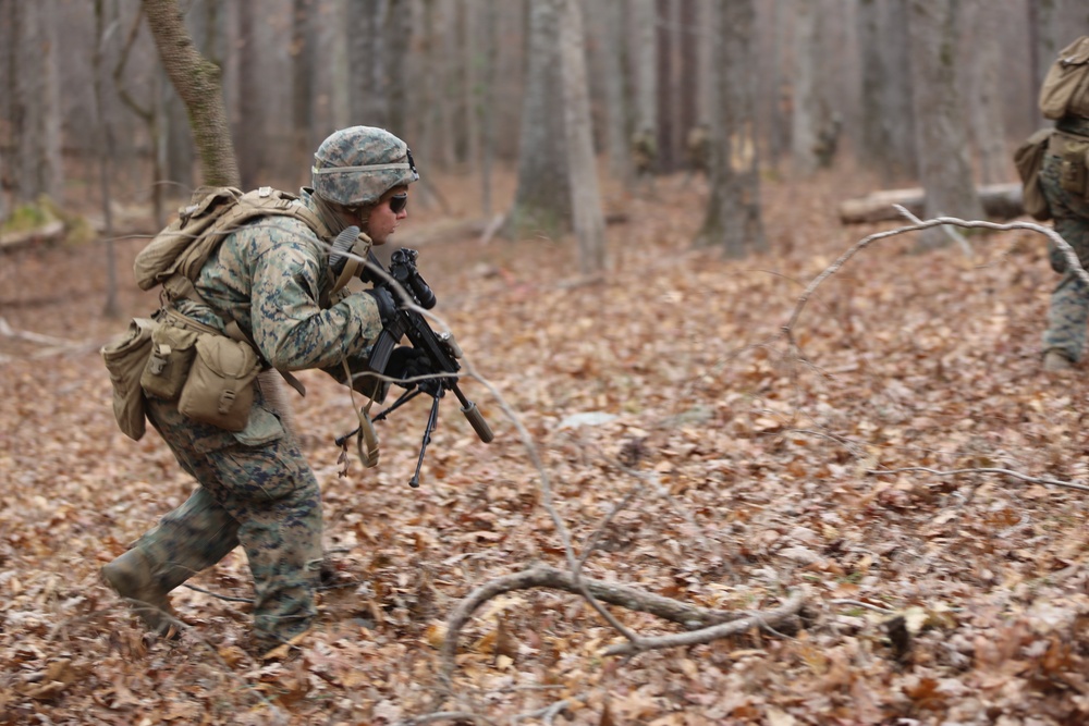 Savage company prowls