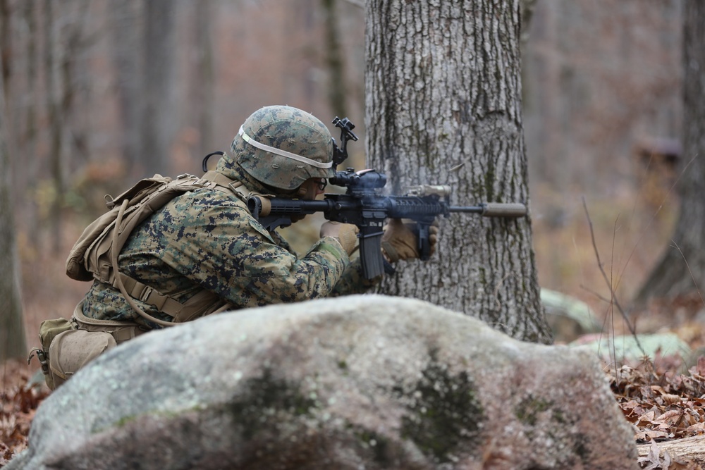 Savage company prowls