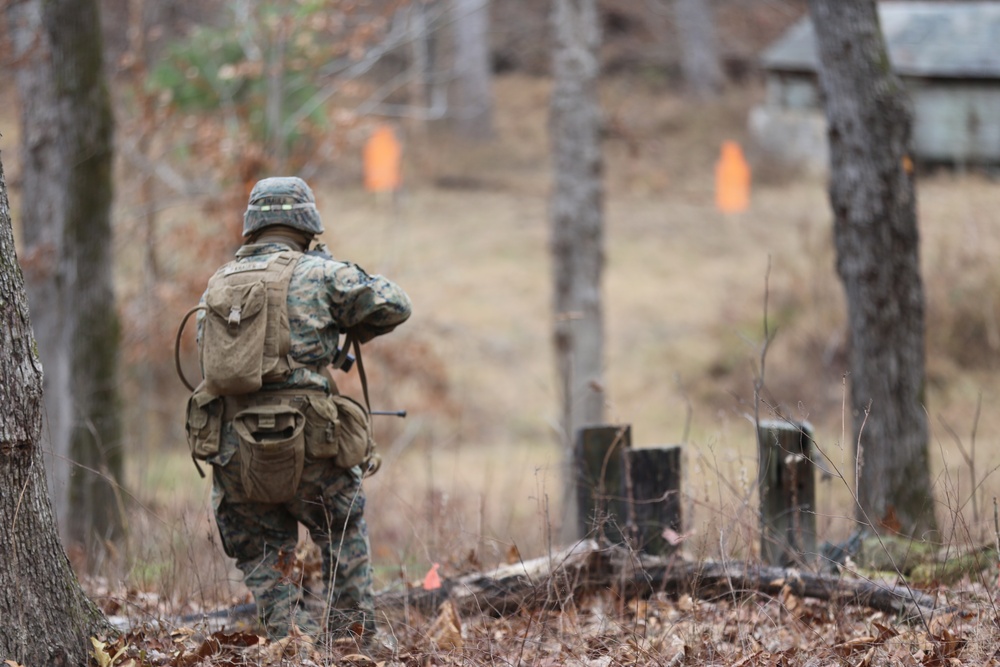 Savage company prowls