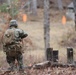 Savage company prowls