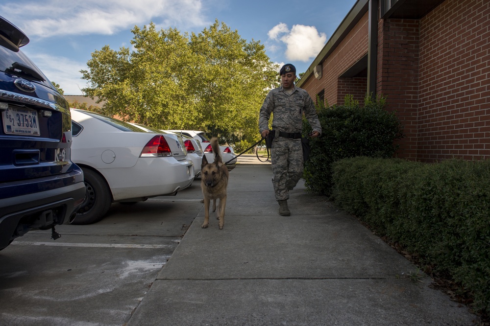 Airman’s best friend—the military working dog