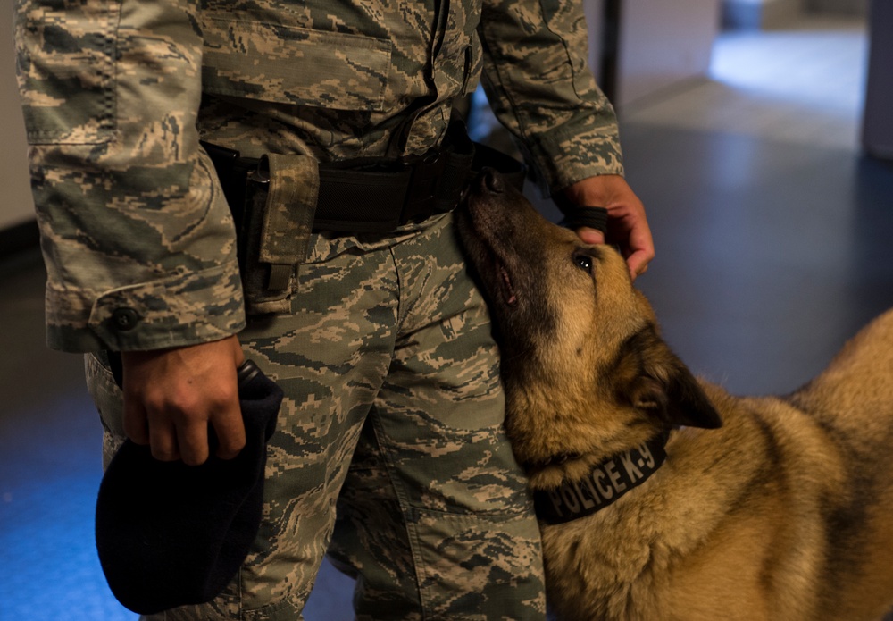 Airman’s best friend—the military working dog