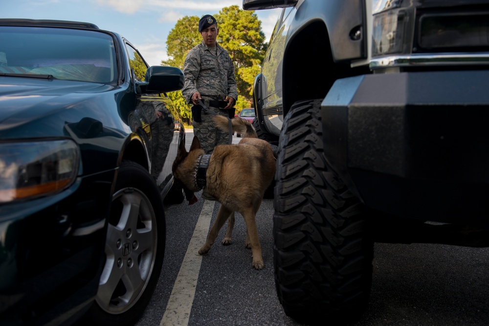 Airman’s best friend—the military working dog