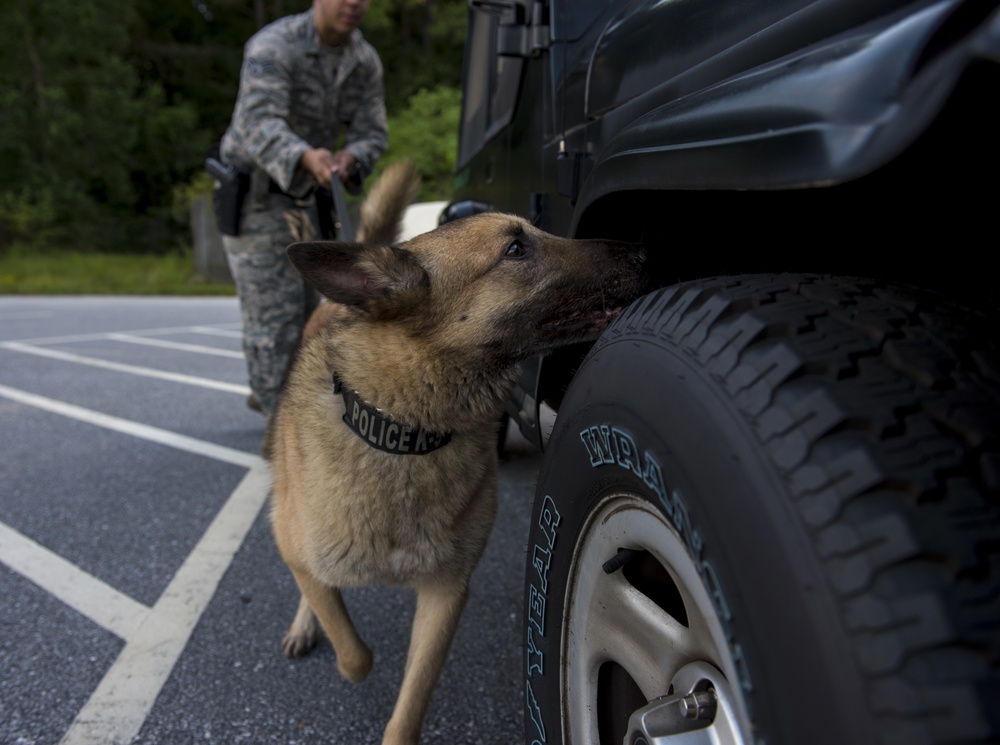 Airman’s best friend—the military working dog