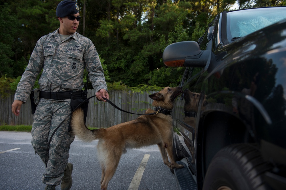 Airman’s best friend—the military working dog