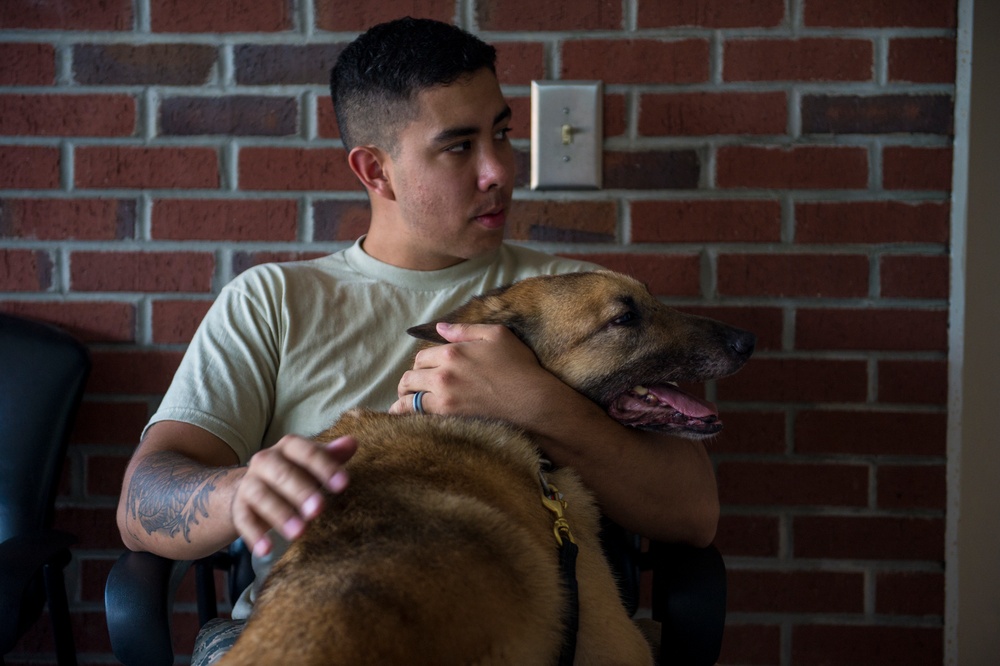 Airman’s best friend—the military working dog