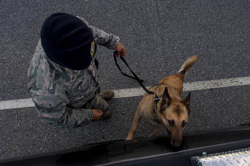 Airman’s best friend—the military working dog