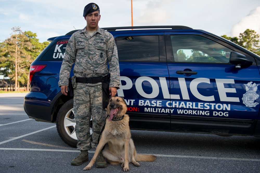 Airman’s best friend—the military working dog