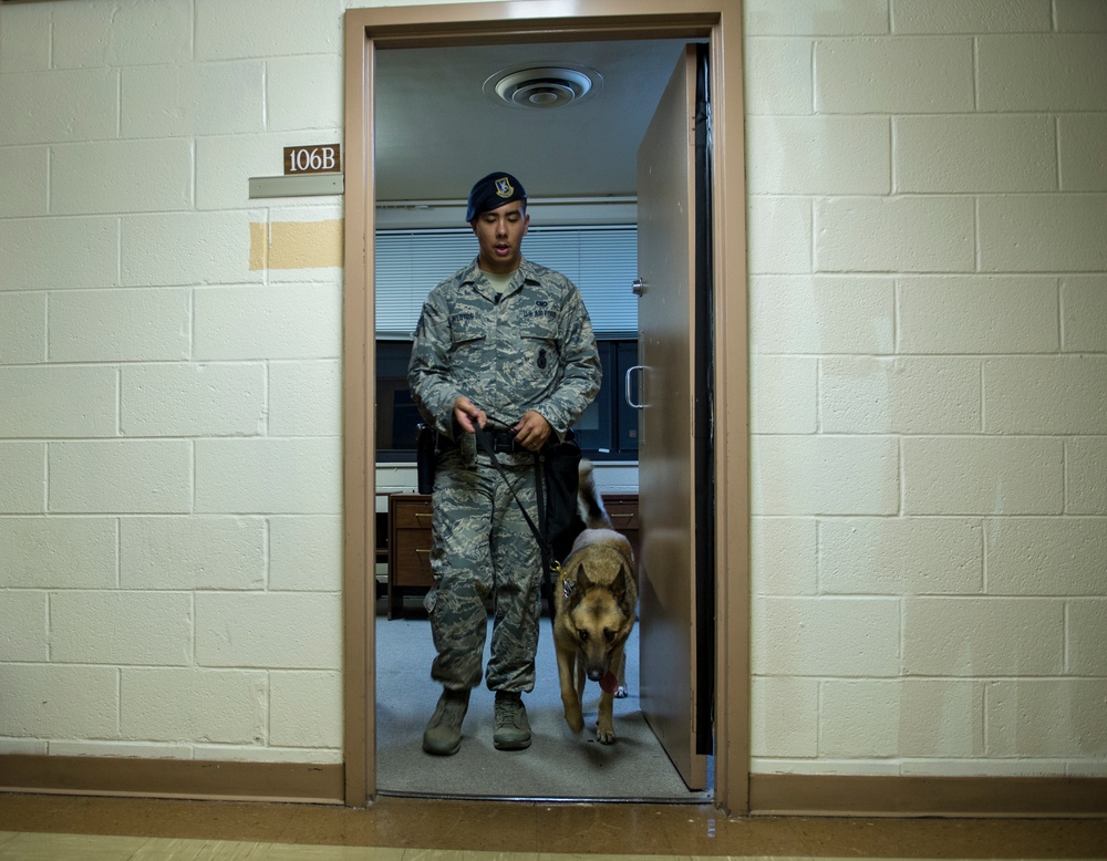 Airman’s best friend—the military working dog