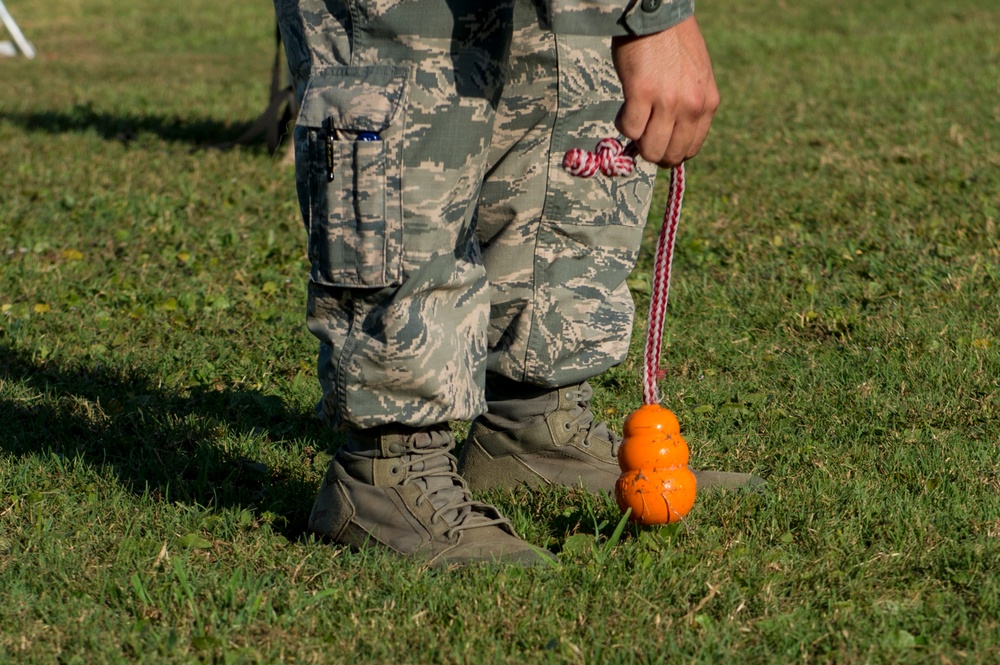 Airman’s best friend—the military working dog