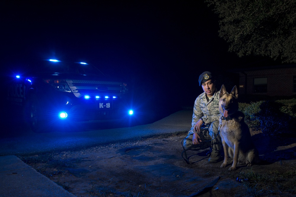 Airman’s best friend—the military working dog