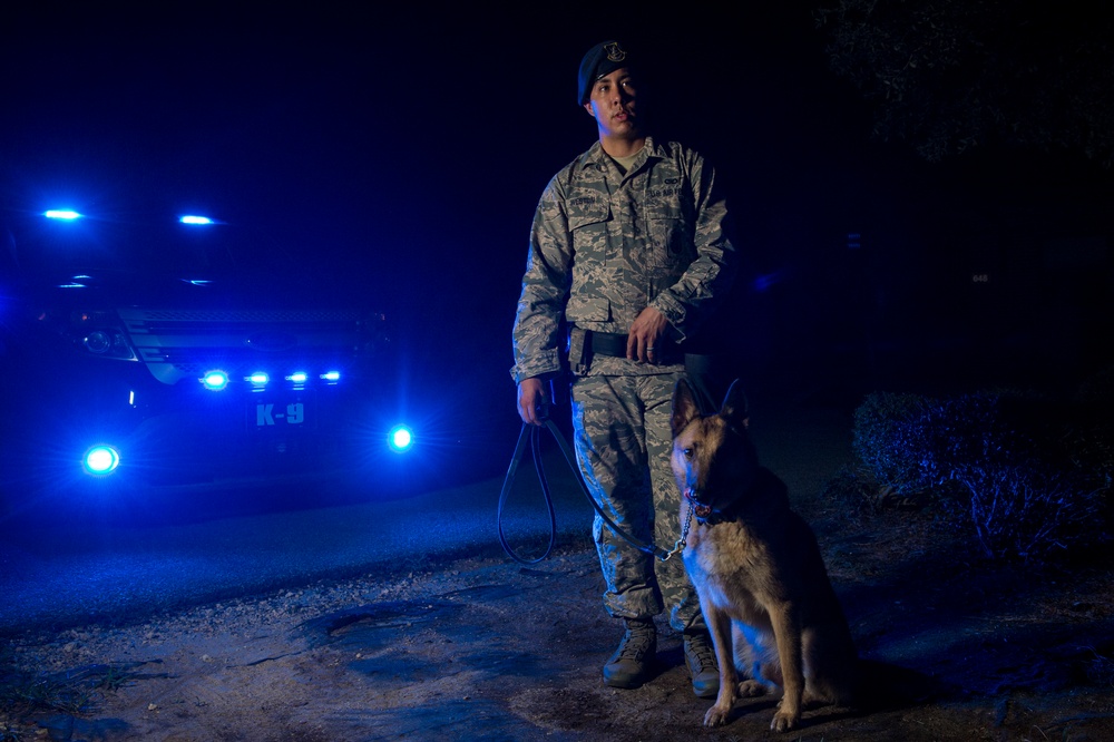 Airman’s best friend—the military working dog