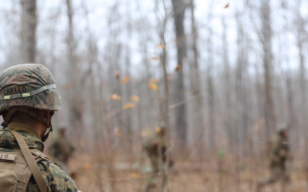 Setting the standard