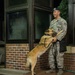 Airman’s best friend—the military working dog