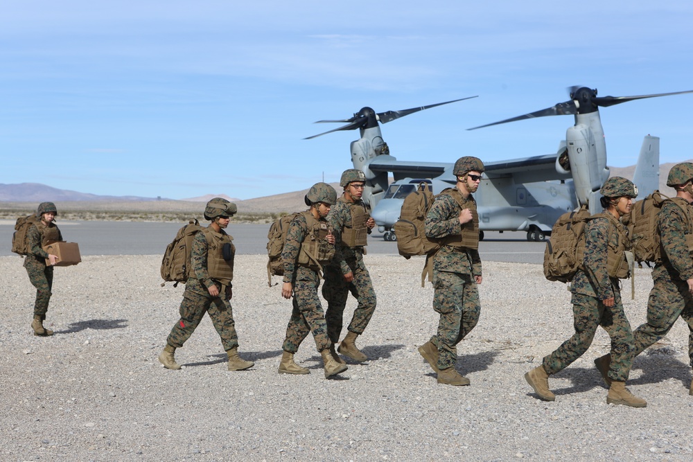Preparing for deployment: VMM-161 conducts NEO training