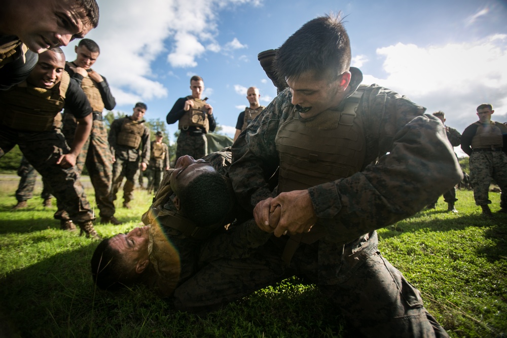 Hawaii’s Newest MAIs Complete Rigorous Course