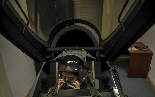 ergency Parachute Training and Aircraft Egress Training