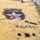 2nd Infantry Division creates "Living Insignia"
