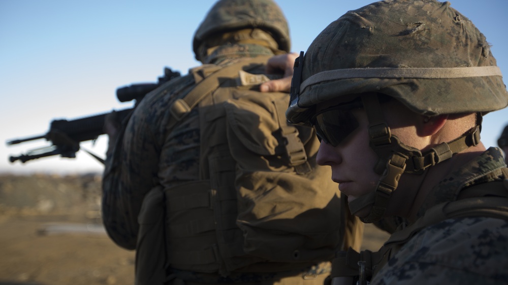 U.S. Marines participate in training at Exercise Platinum Lion 17.1