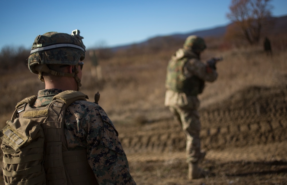 U.S. Marines participate in training at Exercise Platinum Lion 17.1