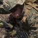 U.S. Marines participate in training at Exercise Platinum Lion 17.1