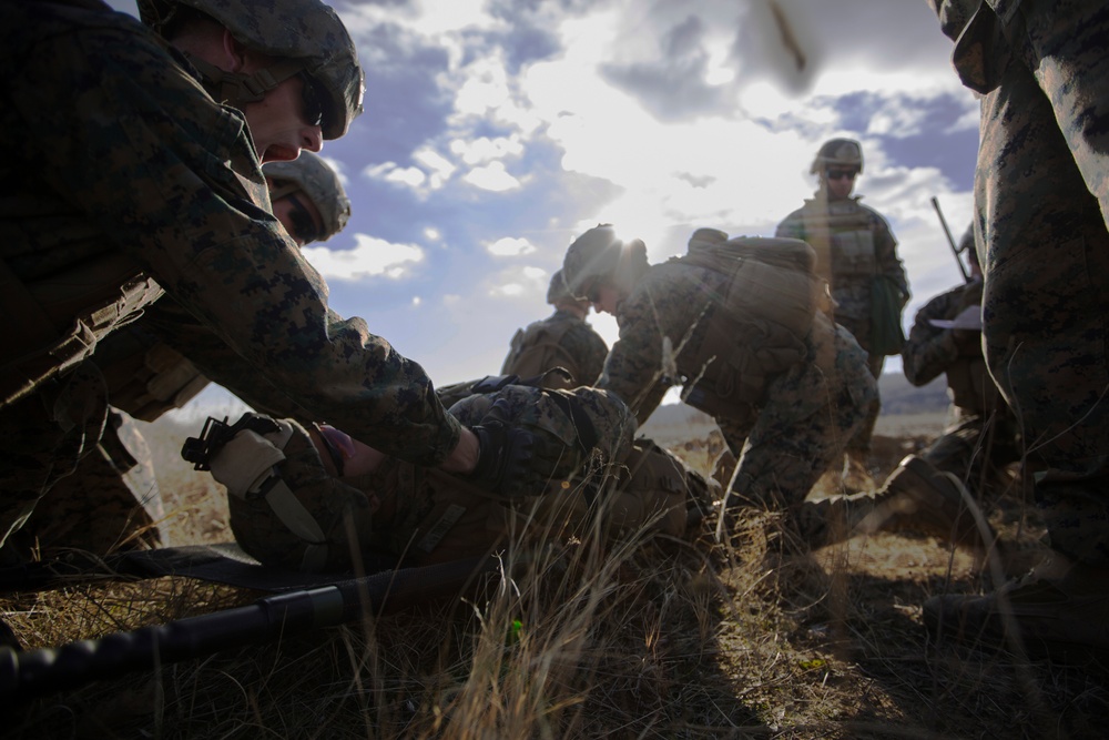 U.S. Marines participate in training at Exercise Platinum Lion 17.1