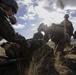 U.S. Marines participate in training at Exercise Platinum Lion 17.1