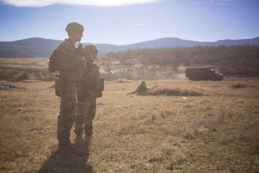 U.S. Marines participate in training at Exercise Platinum Lion 17.1