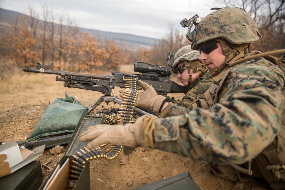 Platinum Lion 17.1 DV Day