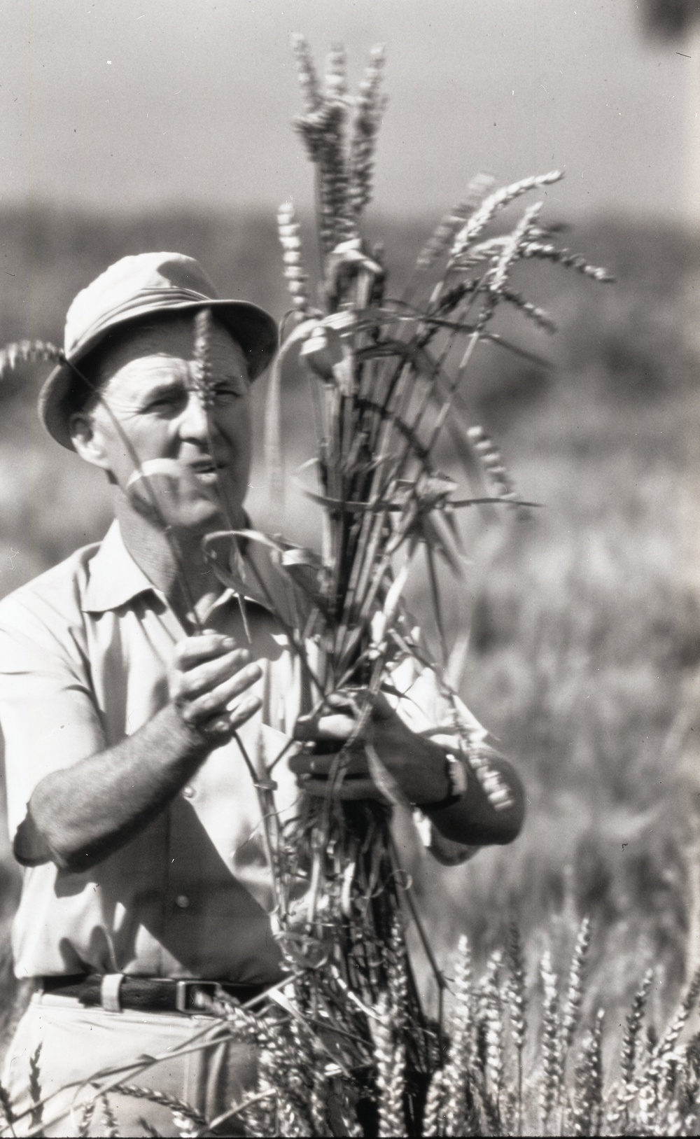 Borlaug Norman E - Rockefeller Foundation