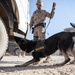 Spanish military police explosives detection dogs