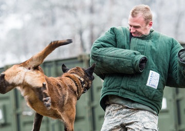 Surgical soldiers get their paws dirty