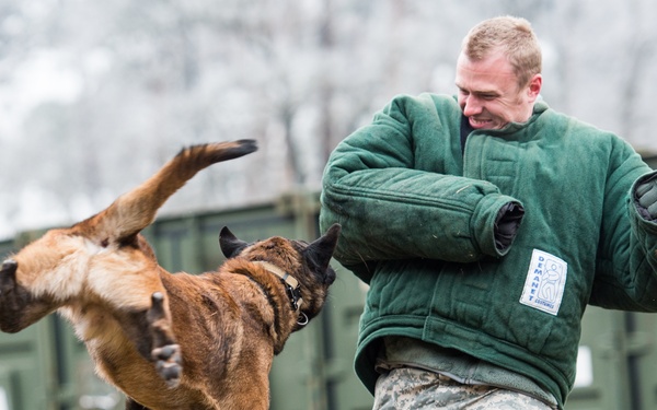 Surgical soldiers get their paws dirty