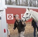 Caisson horse finds sure-fire new home