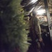 CJCS USO Holiday Tour 2016