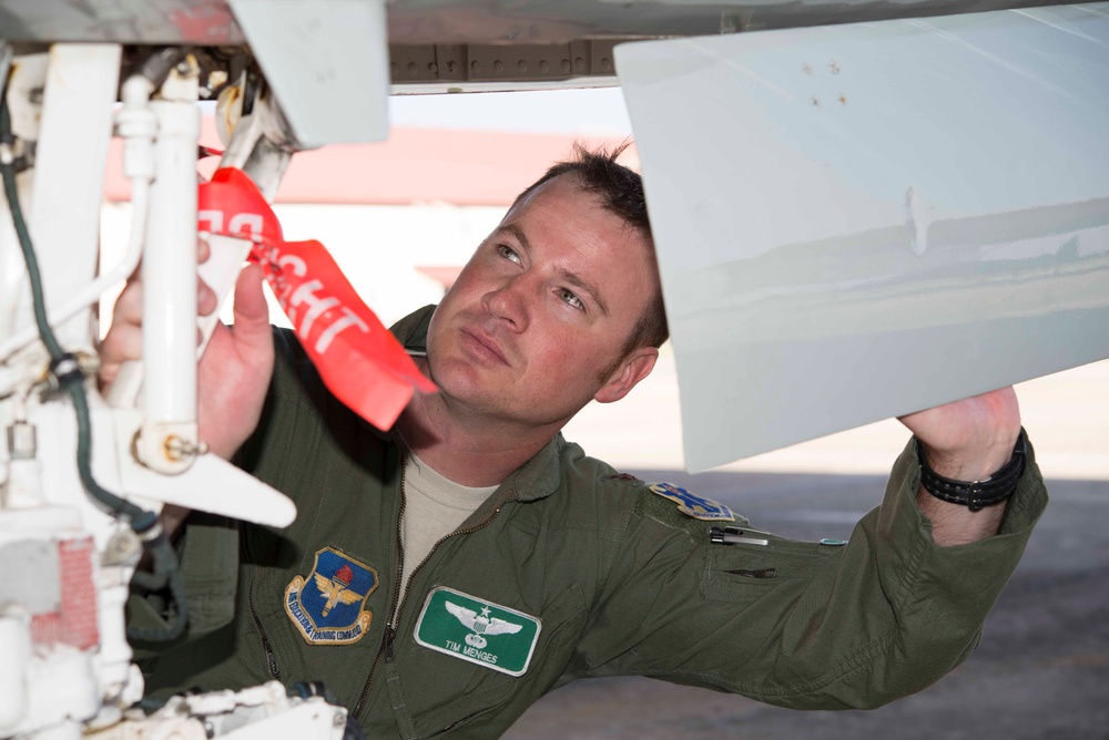 Crew, plane survive bird air strike